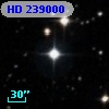 HD 239000