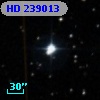 HD 239013