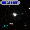 HD 238955