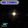 HD 239001