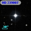 HD 239007