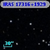 IRAS 17316+1929
