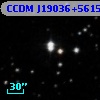 CCDM J19036+5615B