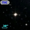 TYC 1560-1981-1