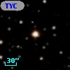 TYC 1557-967-1