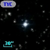 TYC 1557-1007-1