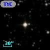 TYC 1557-1022-1