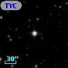 TYC 1557-1309-1