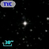 TYC 1557-1786-1