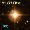 V* V975 Her