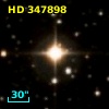 HD 347898