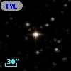 TYC 1562-1318-1