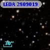 LEDA 2809019