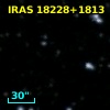 IRAS 18228+1813