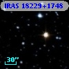 IRAS 18229+1748