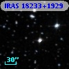 IRAS 18233+1929