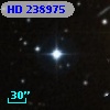 HD 238975
