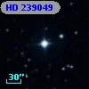 HD 239049