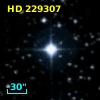 HD 229307