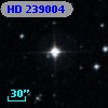 HD 239004