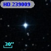 HD 239009