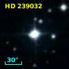 HD 239032
