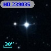 HD 239035