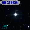 HD 239038
