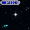 HD 239043