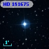 HD 181675