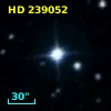 HD 239052