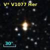 V* V1077 Her