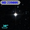 HD 239008