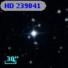 HD 239041