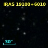 IRAS 19100+6010