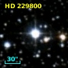 HD 229800