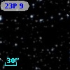 23P  9