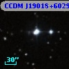 CCDM J19018+6029B