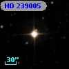 HD 239005