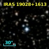 IRAS 19028+1613