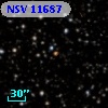 NSV 11687