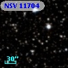 NSV 11704