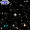 TYC 1585-1513-1