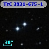 TYC 3931-675-1