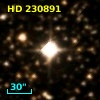 HD 230891