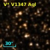 V* V1347 Aql