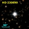 HD 230890