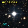 HD 231319
