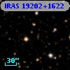 IRAS 19202+1622