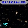 IRAS 19219+1558